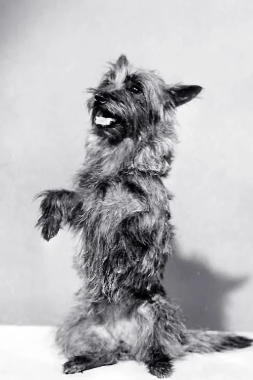 Profile image of Terry